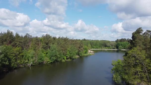 Вузьке Озеро Старому Парку Літній День Вид Повітря — стокове відео