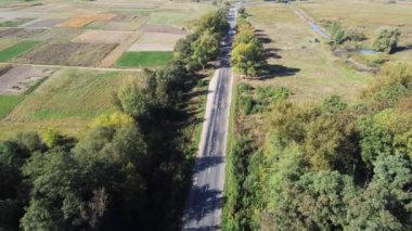 Sonbaharda orman kenarında dar asfalt yol, hava manzarası