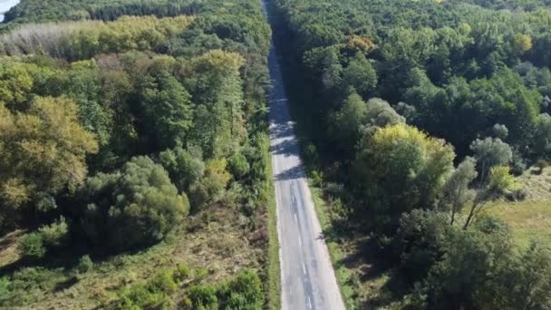 Στενός Ασφαλτοστρωμένος Δρόμος Ανάμεσα Στο Δάσος Φθινόπωρο Εναέρια Άποψη — Αρχείο Βίντεο