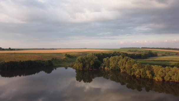 Rybník Stromy Břehu Ranním Světle Letecký Pohled — Stock video