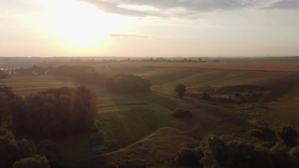 Valle Piccolo Fiume Ricoperta Salici Retroilluminato Vista Aerea — Video Stock