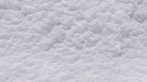 Tekstura Nowo Opadniętej Puszystej Warstwy Śniegu Powierzchni Pionowej — Wideo stockowe