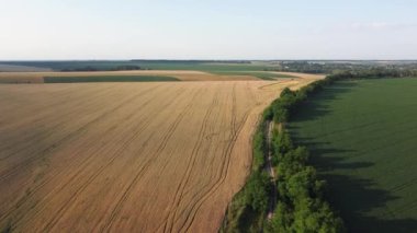 Olgunlaşmamış tarım arazilerinin ve toprak yolun havadan görünüşü