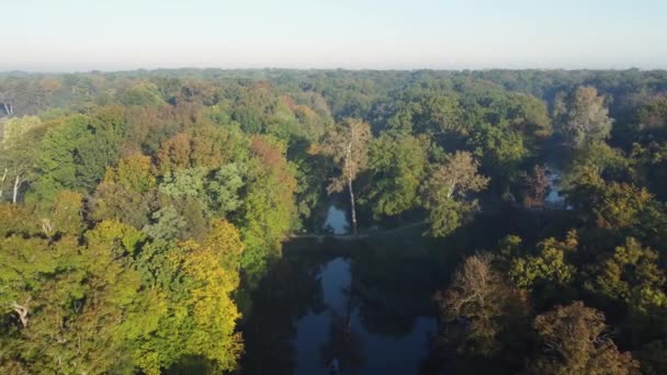Озеро Старом Парке Осенью Солнечное Утро Вид Воздуха — стоковое видео