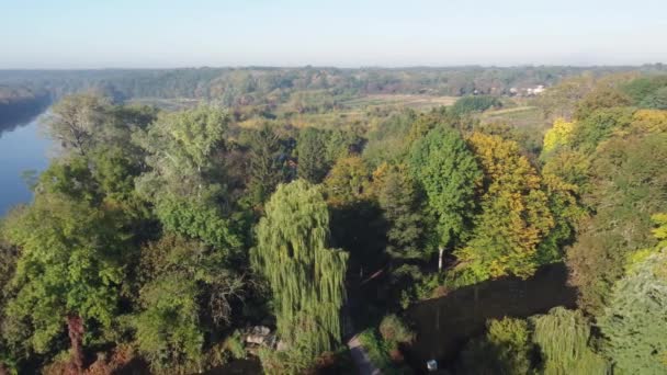 Старый Парк Осенью Солнечное Утро Панорамный Вид Воздуха — стоковое видео