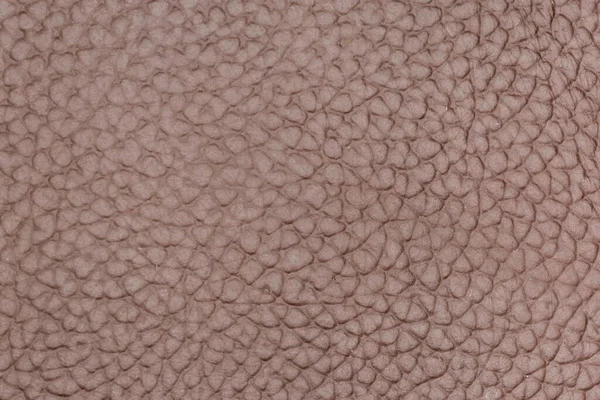 Textura Pravé Kůže Úlomek Tmavě Hnědého Doplňku Zblízka Pozadí — Stock fotografie