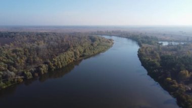 Sel çayırları arasında ağaçlarla dolu nehir, hava manzarası