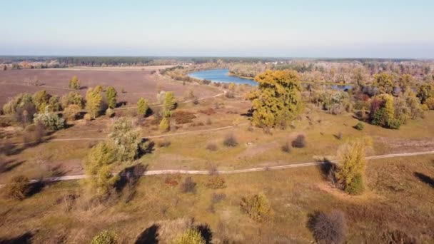 Łąki Zalewowe Rzadko Rosnącymi Drzewami Wzdłuż Rzeki Widok Powietrza — Wideo stockowe