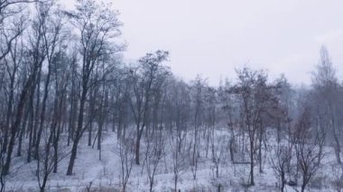 Kar yağışı sırasında kış parkının bir bölümü