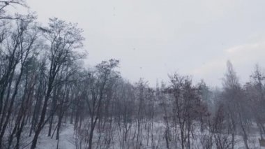 Kar yağışı sırasında kış parkının bir bölümü
