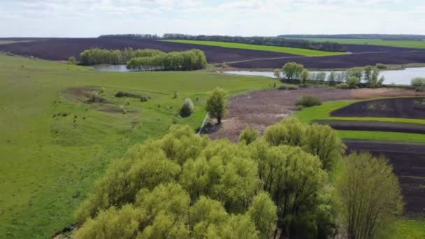 Маленькая Речная Долина Среди Сельскохозяйственных Полей Вид Воздуха — стоковое видео