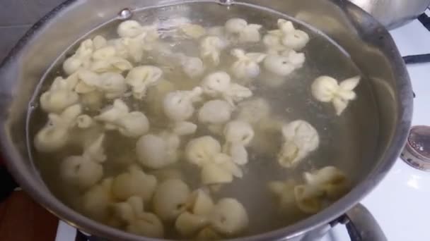 Gnocchi Carne Durante Ebollizione Pentola Acciaio Inox Fornelli — Video Stock