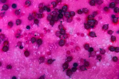 Meyveli pastanın yüzeyi reçelli kaplama ve taze kırmızı ve siyah frenk üzümü, üst görünüm, doku, arka plan.