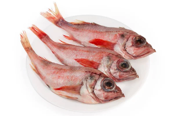 Çiğ, çözülmüş kırmızı balık leşleri, aynı zamanda okyanus levreği ya da Norveç mezgit balığı olarak da bilinir, beyaz arka planda beyaz bir tabakta.