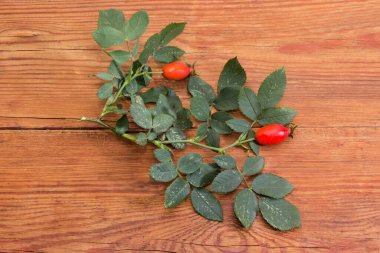 Vahşi köpeğin küçük bir dalı yeşil yapraklı ve kırmızı gül kalçalı eski ahşap bir yüzey üzerinde