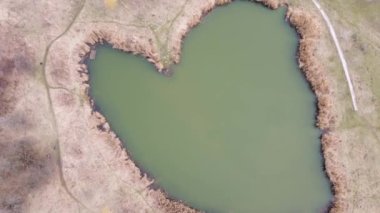 Kalp şeklinde göl, kıyılarda kuru sazlıklar, hava manzarası.