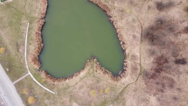 Srdeční Jezero Suchým Rákosím Březích Letecký Pohled — Stock video