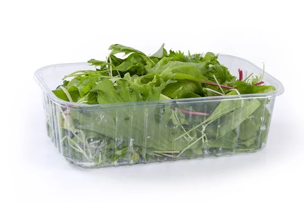 Mélange Des Différents Légumes Feuilles Dans Récipient Plastique Transparent Sur — Photo