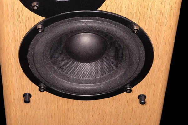 Woofer Con Difusor Negro Panel Frontal Madera Del Altavoz Del — Foto de Stock