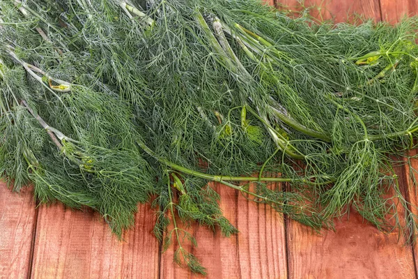 Bunch Stems Freshly Harvested Dill Old Wooden Rustic Table Fragment — Foto de Stock