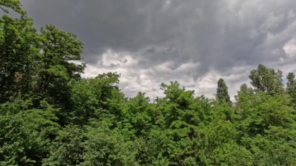 Χρονικό Όριο Του Αθροίσματος Και Σύννεφα Καταιγίδας Πάνω Από Δάσος — Αρχείο Βίντεο