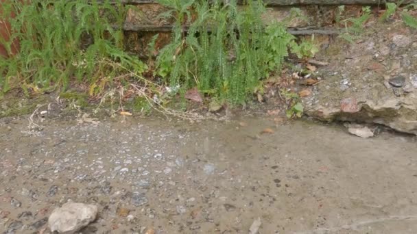 Jet Water Falling Concrete Surface Rain — Stockvideo