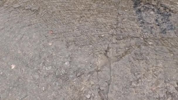 Rainwater Running Concrete Surface Storm Drain — Video Stock