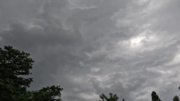 Time Lapse Storm Clouds Tree Tops — Vídeo de stock