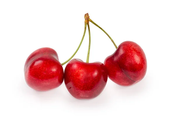 Red Sweet Cherries Stems Growing One Place White Background Close — Stok Foto