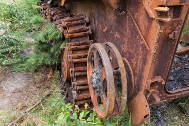 Rus piyade savaş aracı 2022 'de Rusya' nın Ukrayna işgalinde yok edildi. Paslı yanmış aracın gövdesi ve rayları ağaçların arasından geçiyor.. 