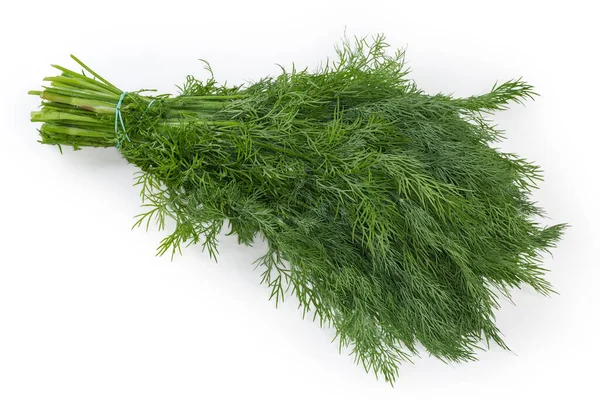 Bundle Stems Freshly Harvested Dill Tied Rubber Band White Background — Foto de Stock