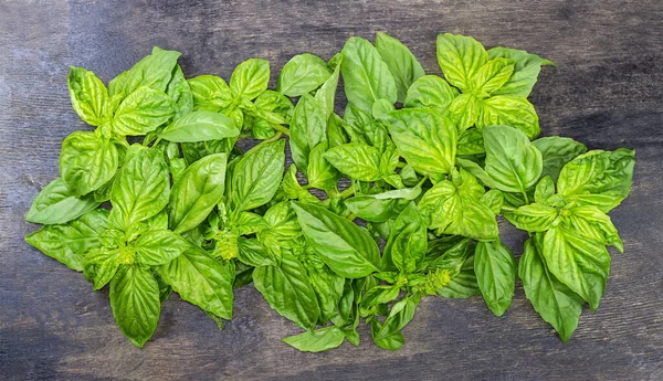 Twigs Fresh Green Basil Leaves Inflorescences Tops Black Surface Top — ストック写真