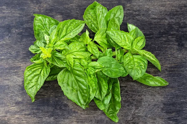 Stem Fresh Green Basil Leaves Inflorescence Top Black Surface — Stok Foto