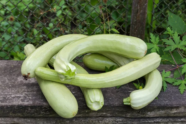 Raw Freshly Harvested Young Long Vegetable Marrows Old Wooden Surface — Φωτογραφία Αρχείου