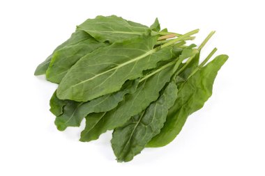 Bunch of the freshly picked leaves of the garden sorrel on a white background