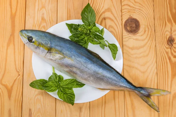 Raw Carcass Yellowtail Species Japanese Amberjack Twigs Fresh Green Basil — Stockfoto