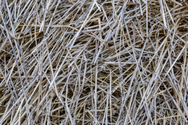 Fragment of the heap of the old darkened wheat straw harvested last year, background
