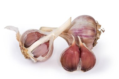 Whole and halved heads of the purple garlic and cloves in their husk close-up on a white background