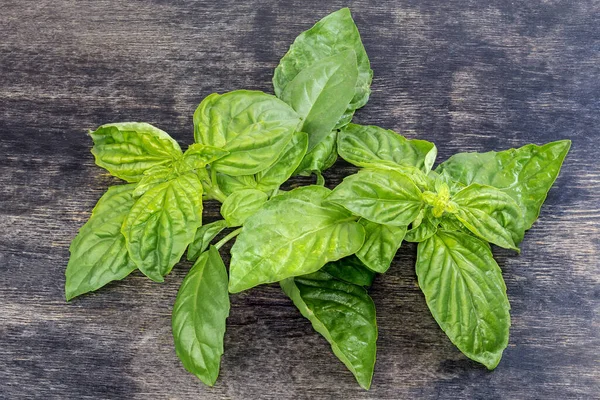 Twigs Fresh Green Basil Leaves Inflorescences Tops Black Surface — Stok Foto