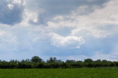 Fragment of the sky is covered with cumulus and storm clouds over the field and trees 