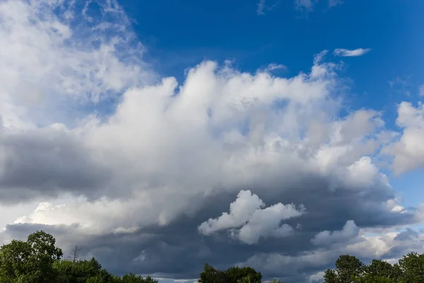 Fragment Sky Partly Covered Cumulus Storm Clouds Tree Tops —  Fotos de Stock