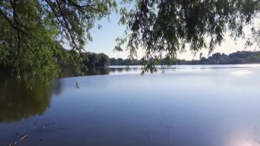 Pond with calm water and willows on banks while panning