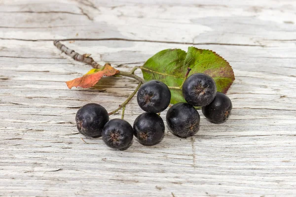 Small Twig Black Chokeberry Ripe Berries Old Cracked Wooden Surface —  Fotos de Stock