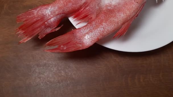 Два Замороженных Туши Красной Рыбы Головы Покрытые Инеем — стоковое видео