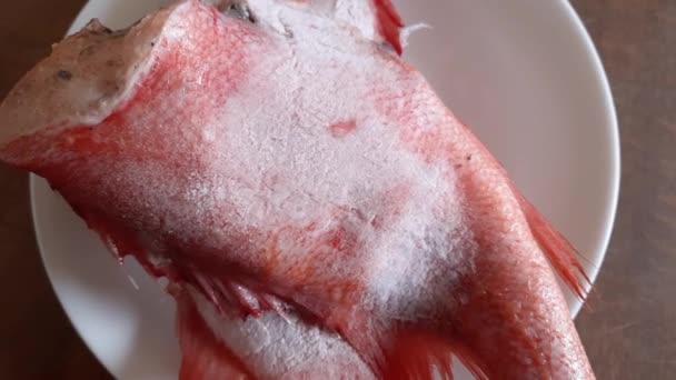 Donmuş Başsız Kırmızı Balık Leşi Kırağı Kaplamış — Stok video