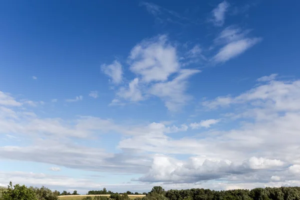 地平線の木々や遠くのフィールド上の雲と空の断片 — ストック写真