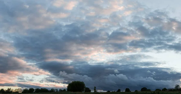 Fragment Des Himmels Mit Wolken Über Den Silhouetten Der Bäume — Stockfoto