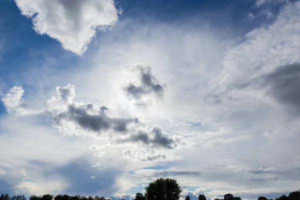 지평선을 배경으로 나무들의 구름이 — 스톡 사진