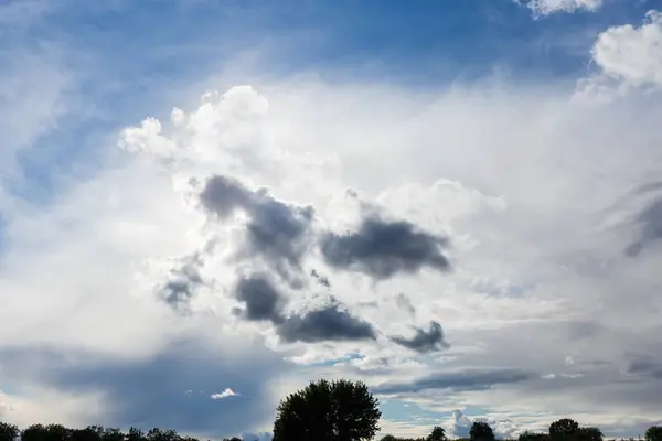 地平線の木々のシルエットの上に雲と空の断片をバックライト — ストック写真