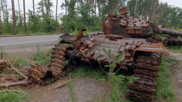 Rosyjski Czołg Zniszczony Podczas Inwazji Ukrainę 2022 Lesie — Wideo stockowe